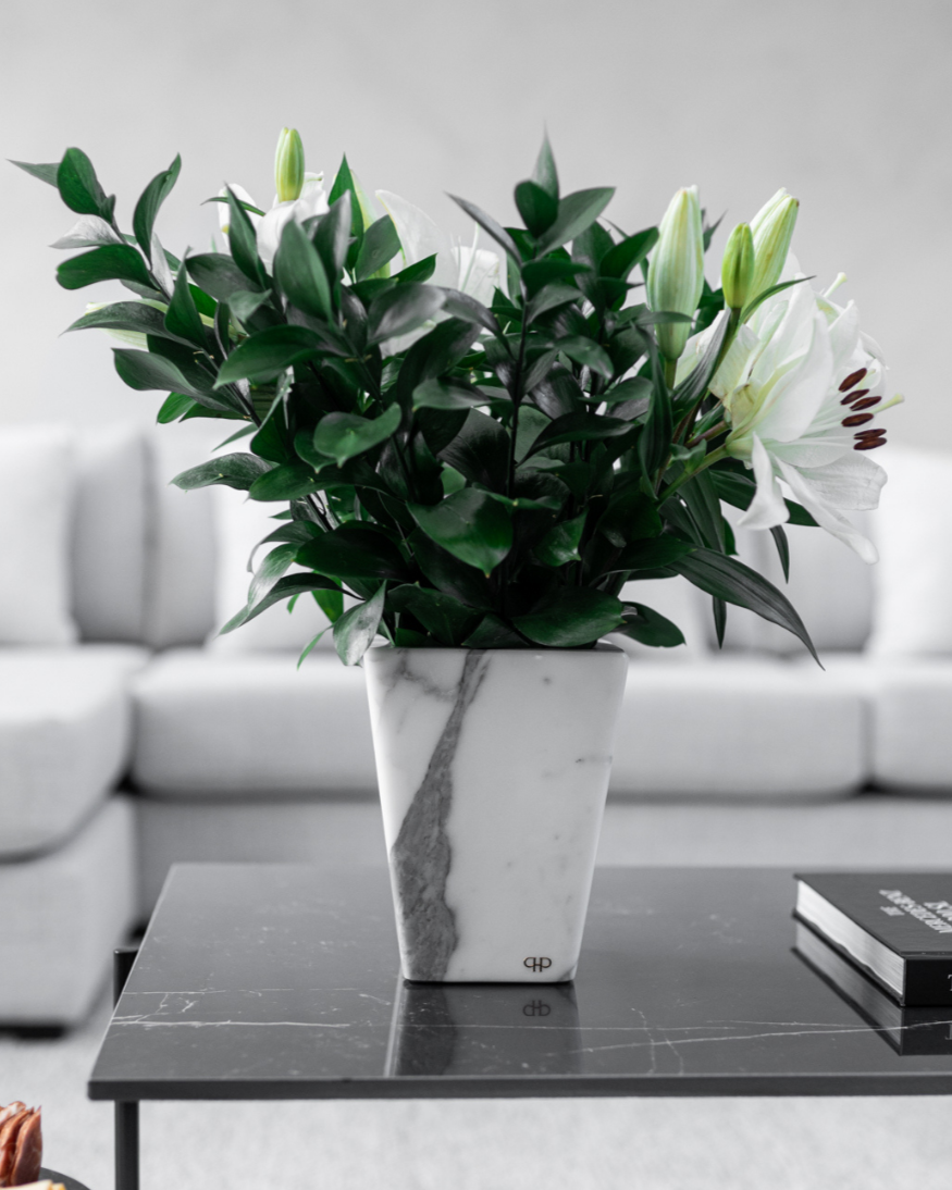 Vaso Clean - Carrara